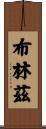 Brynz Scroll