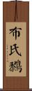 布氏鷚 Scroll
