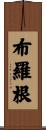 Brogan Scroll