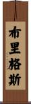 Briggs Scroll