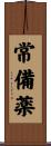 常備薬 Scroll