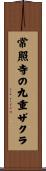 常照寺の九重ザクラ Scroll