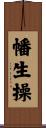 幡生操 Scroll