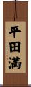 平田満 Scroll