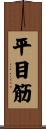 平目筋 Scroll