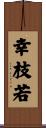幸枝若 Scroll