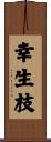 幸生枝 Scroll