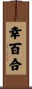 幸百合 Scroll