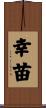 幸苗 Scroll