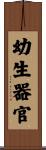幼生器官 Scroll