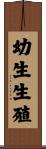 幼生生殖 Scroll