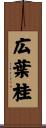 広葉桂 Scroll