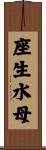 座生水母 Scroll