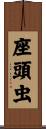 座頭虫 Scroll