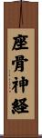座骨神経 Scroll