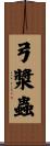 弓漿蟲 Scroll