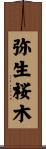 弥生桜木 Scroll