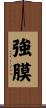 強膜 Scroll