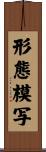 形態模写 Scroll