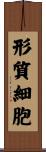 形質細胞 Scroll