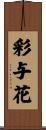 彩与花 Scroll