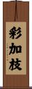 彩加枝 Scroll