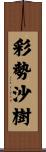 彩勢沙樹 Scroll