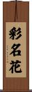 彩名花 Scroll