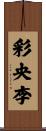 彩央李 Scroll