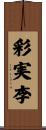 彩実李 Scroll