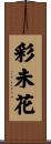 彩未花 Scroll