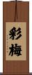 彩梅 Scroll