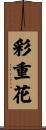 彩重花 Scroll