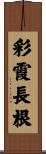 彩霞長根 Scroll