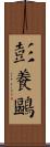 彭養鷗 Scroll