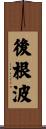 後根波 Scroll