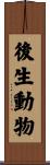 後生動物 Scroll