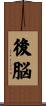 後脳 Scroll