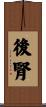 後腎 Scroll