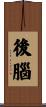 後腦 Scroll
