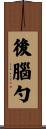 後腦勺 Scroll