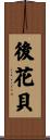 後花貝 Scroll