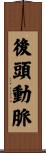 後頭動脈 Scroll