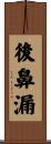 後鼻漏 Scroll
