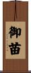 御苗 Scroll
