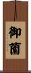 御薗 Scroll