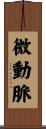 微動脈 Scroll