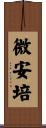微安培 Scroll