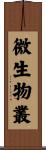微生物叢 Scroll