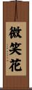 微笑花 Scroll